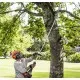 HUSQVARNA SET 530iPT5 - Професионален акумулаторен телескопичен трион с 5 м обхват и висока производителност