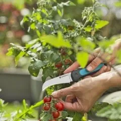 ГРАДИНСКИ НОЖОВЕ