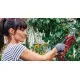 Einhell GE-GS 18 Li-Solo Акумулаторен градински трион с режещ диск KWB, лесна смяна без инструменти и подвижна дръжка