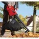 Einhell GC-EL 3024 E Мощен електрически листосъбирач с функция за засмукване и издухване, електронен контрол на скоростта и интегриран шредер