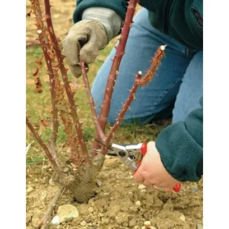 FELCO 10  Ергономичен модел за интензивна работа