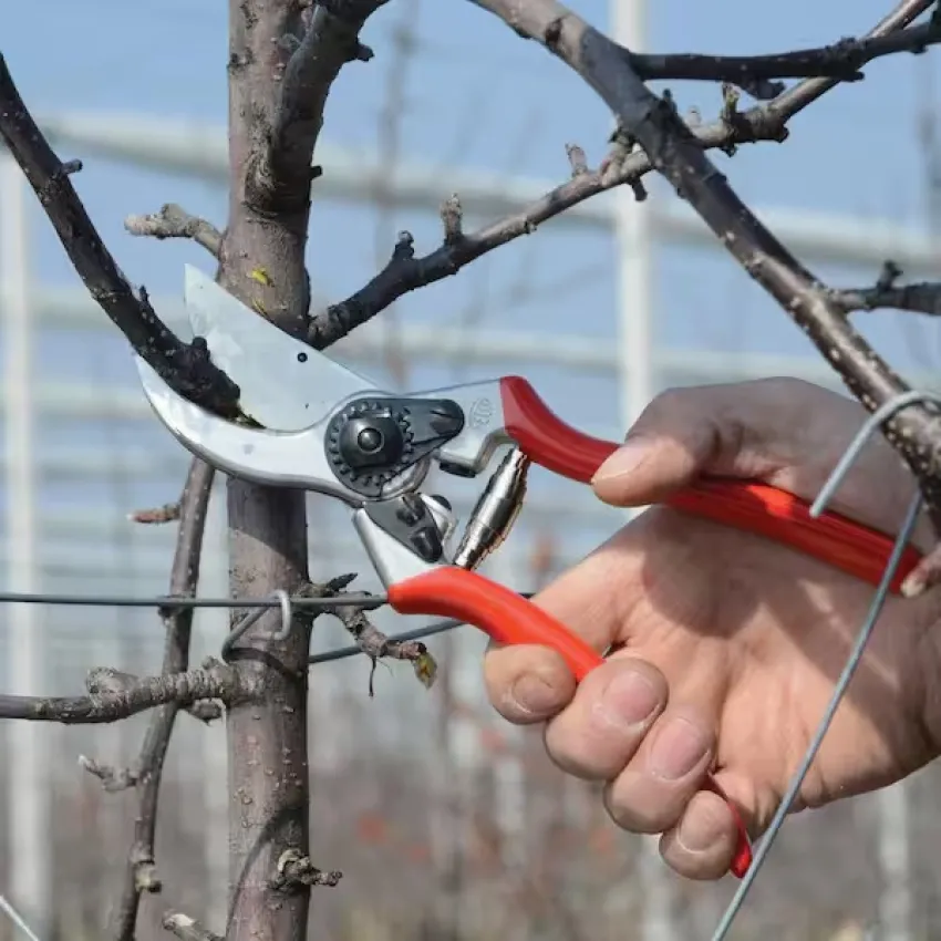 FELCO 2 Класически модел за професионални резултати