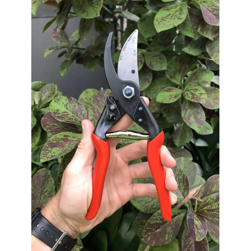 FELCO 5 – Опростен модел за добри резултати