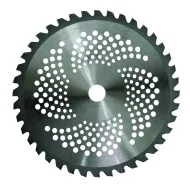 Raider Диск за моторна коса TCT 40T ø255x25.4 mm