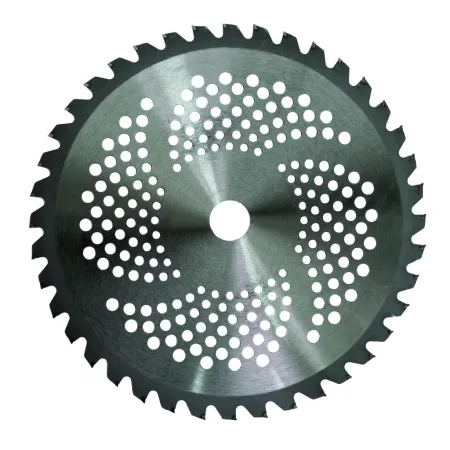 Raider Диск за моторна коса TCT 40T ø255x25.4 mm