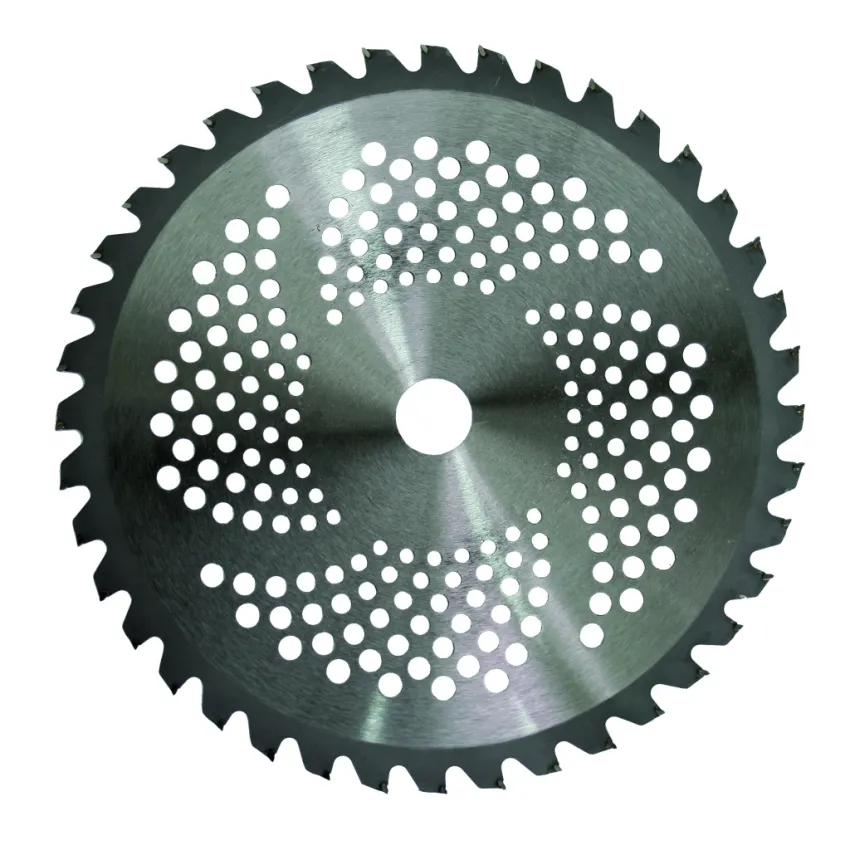 Raider Диск за моторна коса TCT 40T ø255x25.4 mm