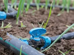Капково напояване: Интелигентното решение за напояване от GardenZone