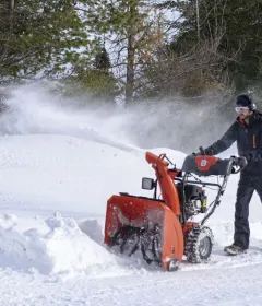 СНЕГОРИНИ